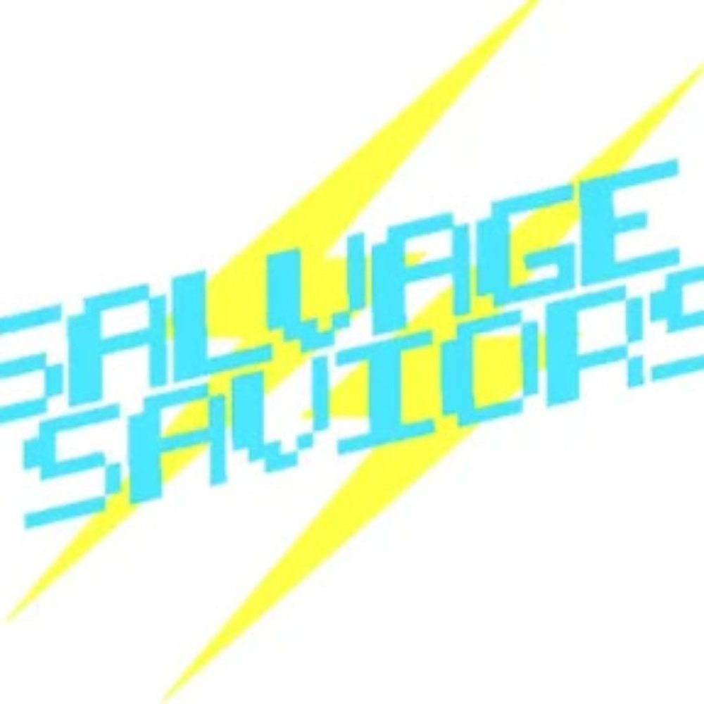 Meet your Posher, Salvage Saviors